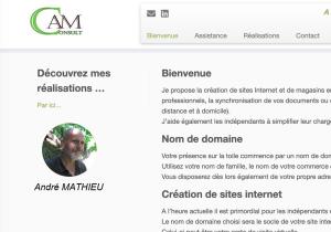 web-am-consult-profil