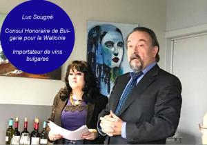 web-luc-sougne-profil